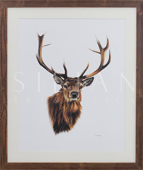 Stag White Background