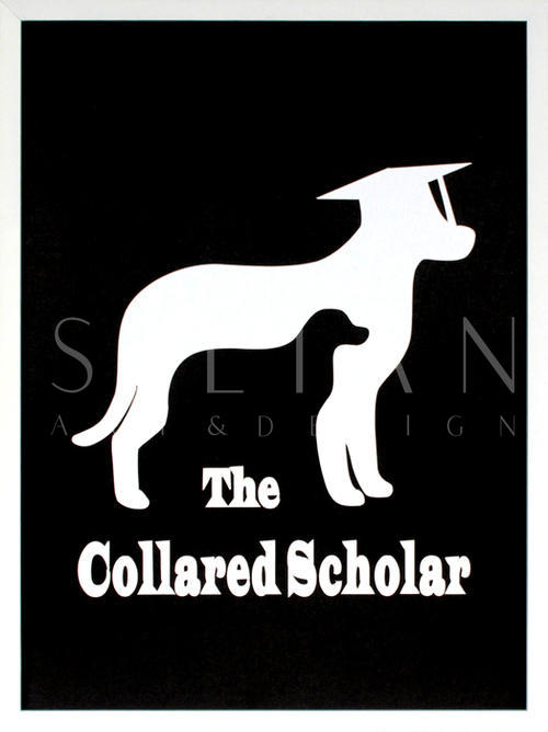 The Collared Scholar