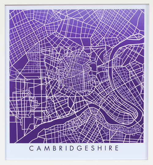 Purple Map