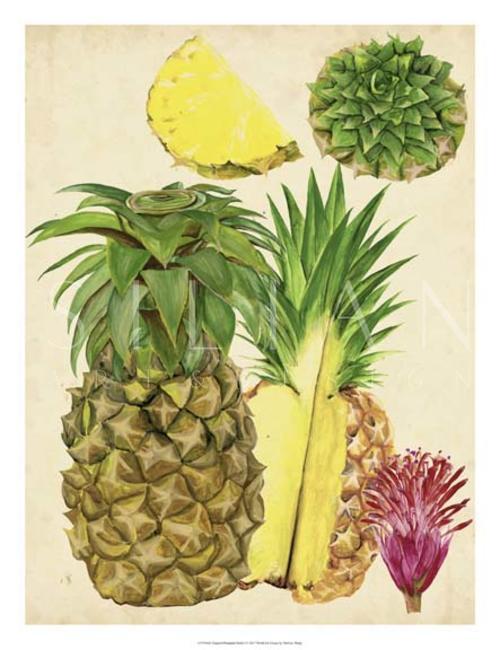 Tropical Pineapple Study I
