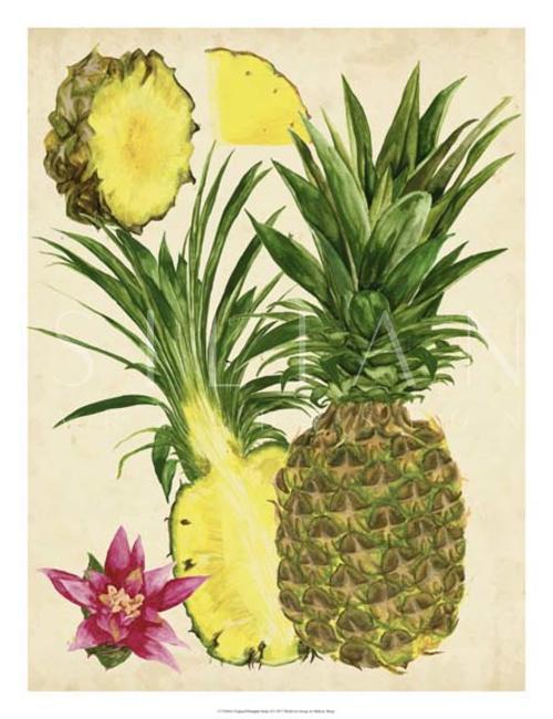 Tropical Pineapple Study II