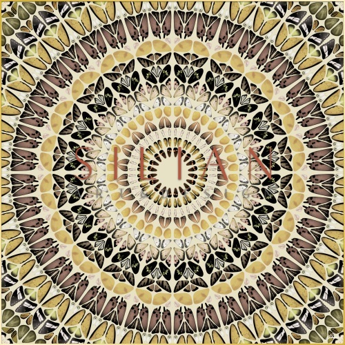 Mandala Pattern  II