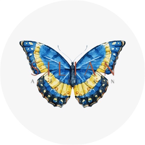 蝴蝶标本 VIII