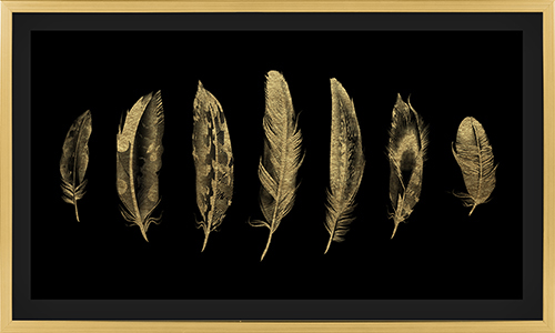 Golden Feather I