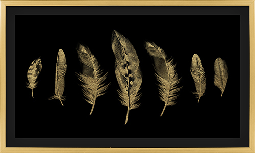 Golden Feather II