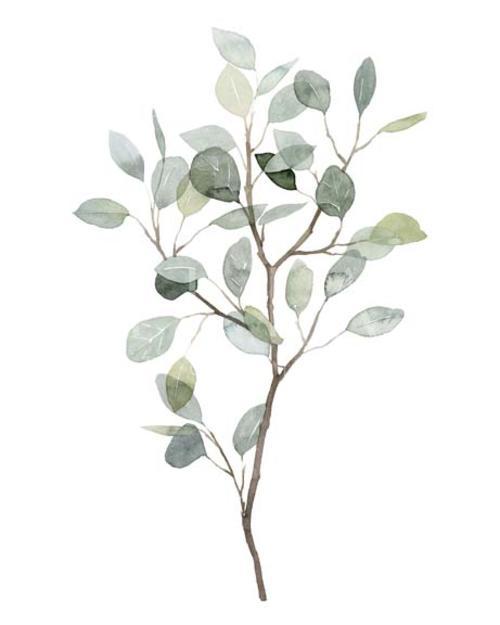 Seaglass Eucalyptus I