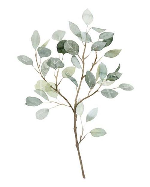 Seaglass Eucalyptus II