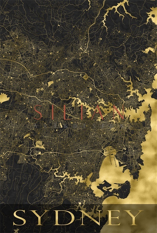 City Map V