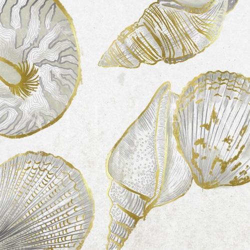 Collected Shells III