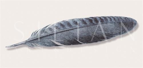 Tribal Feather IV