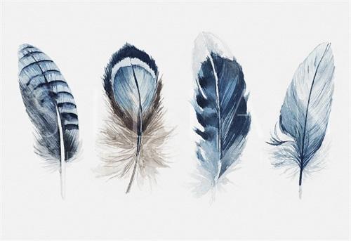 Tribal Feather III