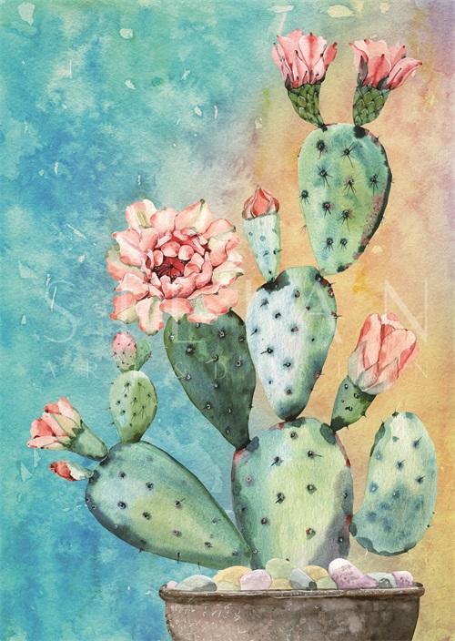 Desert Blooms III
