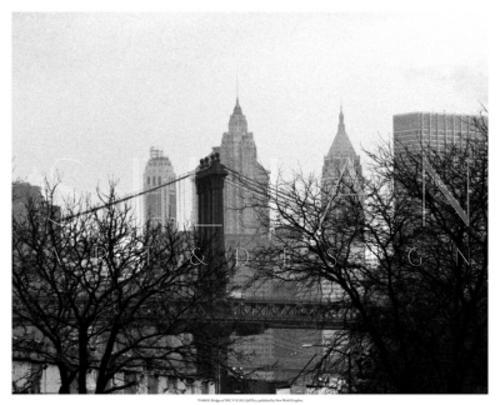 Bridges of NYC V