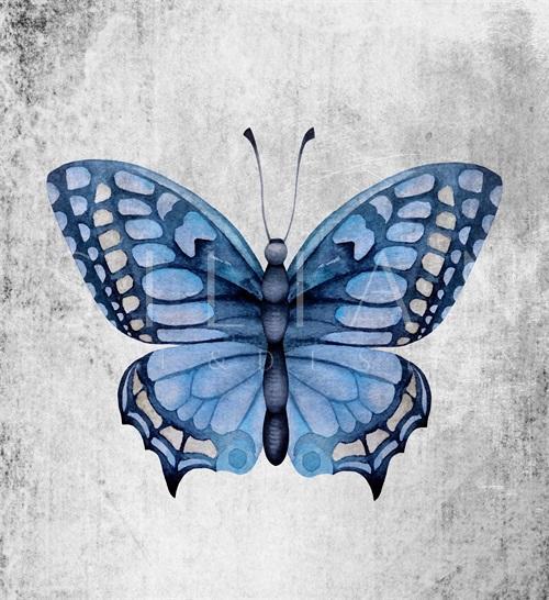 Blue Butterfly Ⅱ