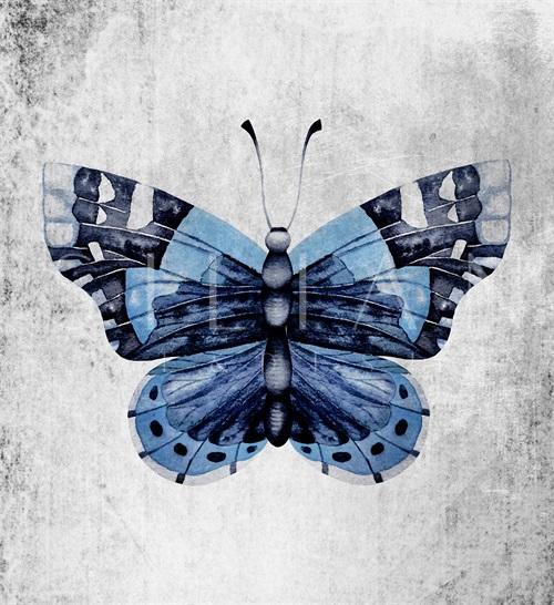 Blue Butterfly Ⅳ