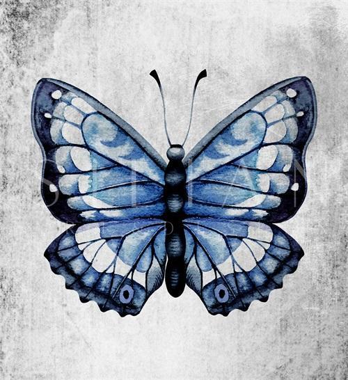 Blue Butterfly Ⅲ