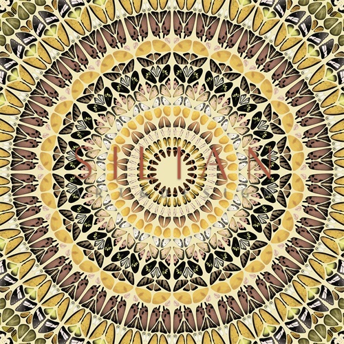 Mandala Pattern II