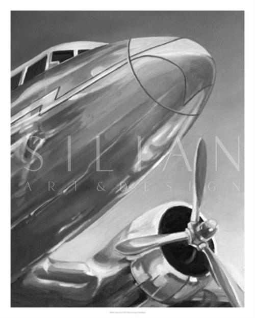 Aviation Icon I