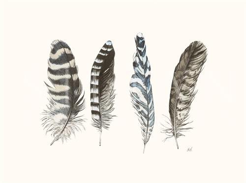 Cyanotype Feathers III