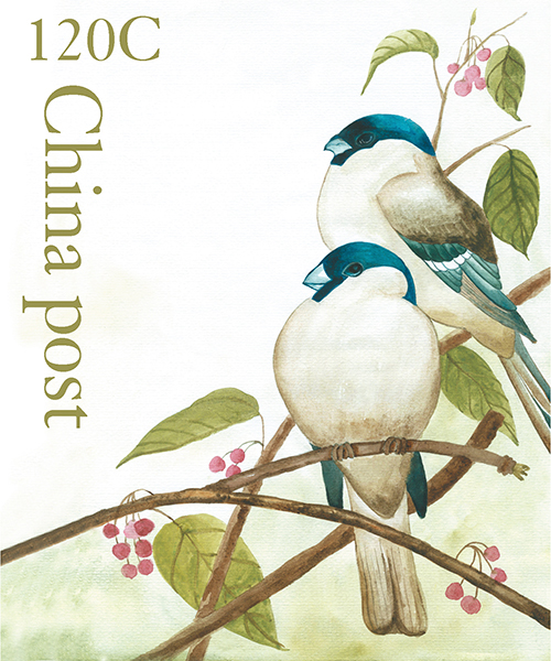 Watercolor Birds Stamps II