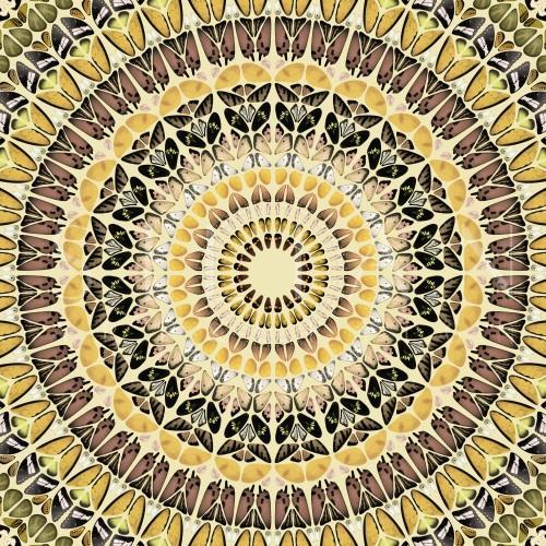 Mandala Pattern  II