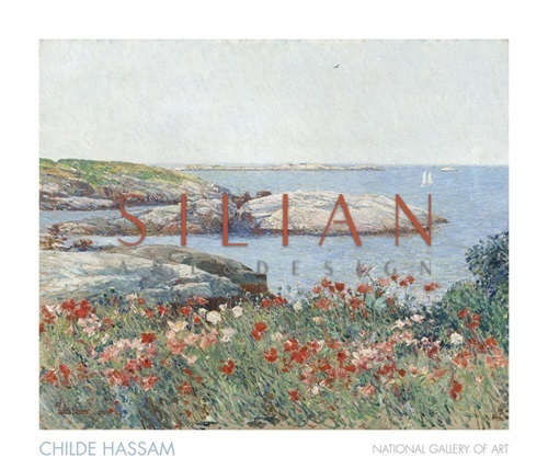 罂粟花，浅滩群岛，1891年