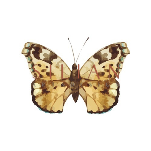 Butterfly Specimen VX