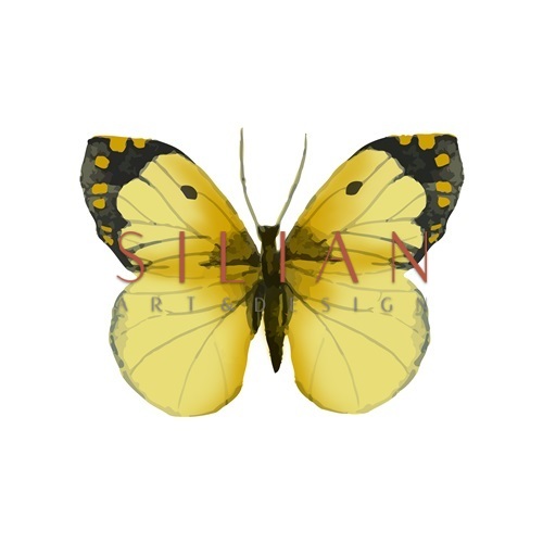 蝴蝶标本 III