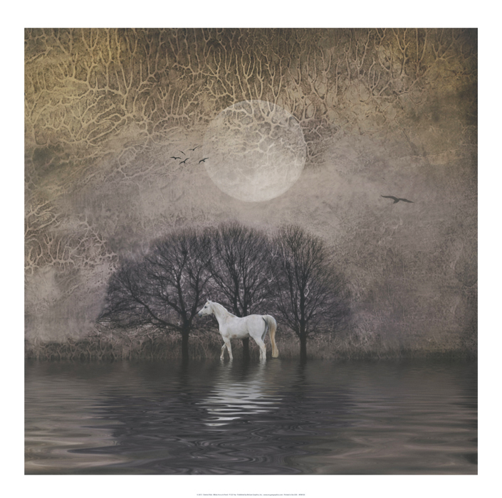 White Horse in Pond