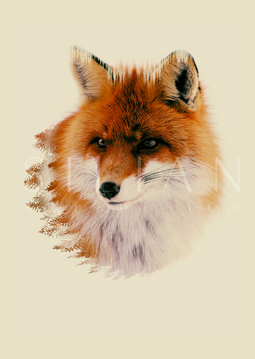 Fox I 