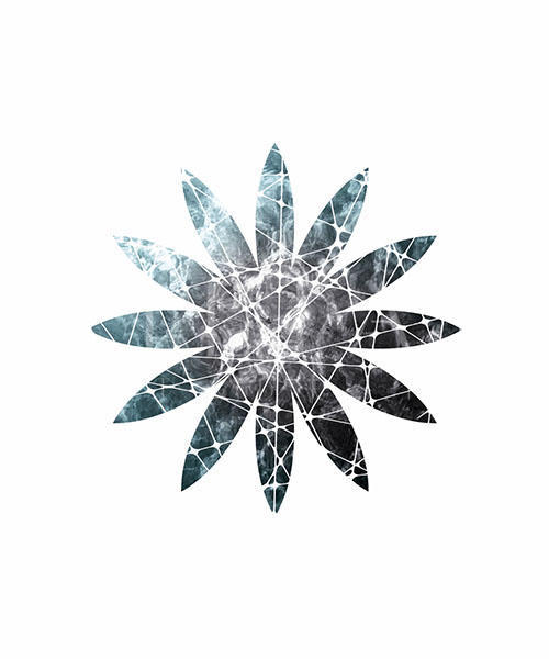 Starry Sky In Snowflake Ⅲ