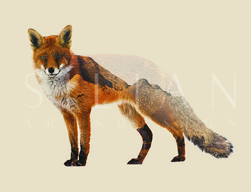 Fox II 