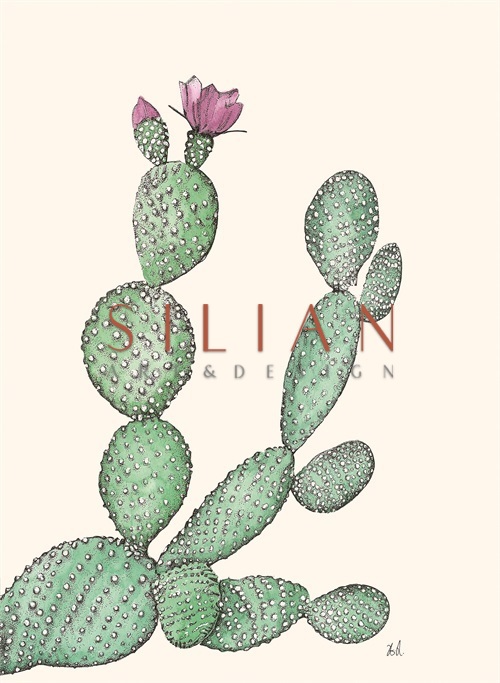 Cacti Collection II