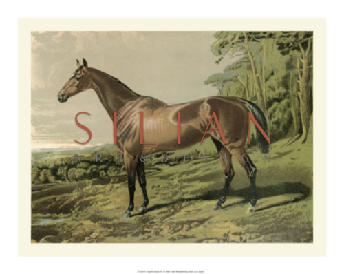 Cassell's Horse IV