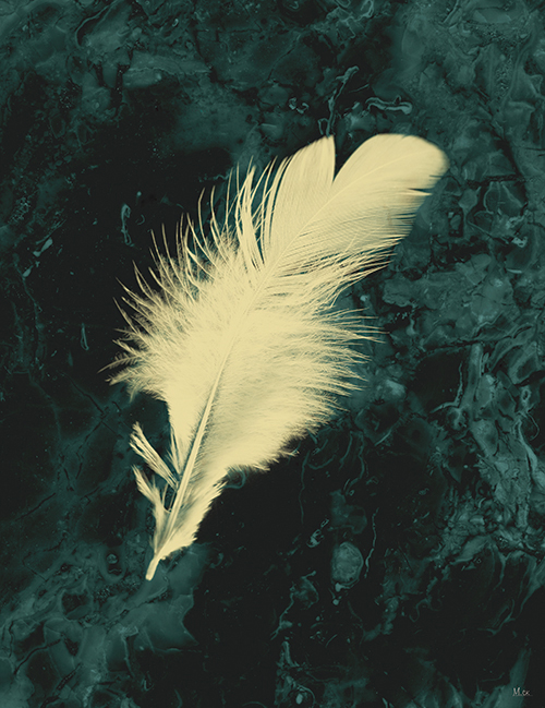 Gold Feather Ⅲ