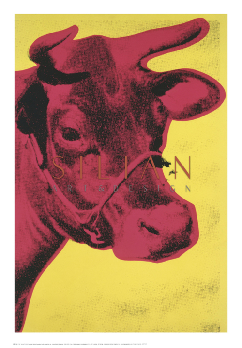 牛，1966年（黄色和粉红色）