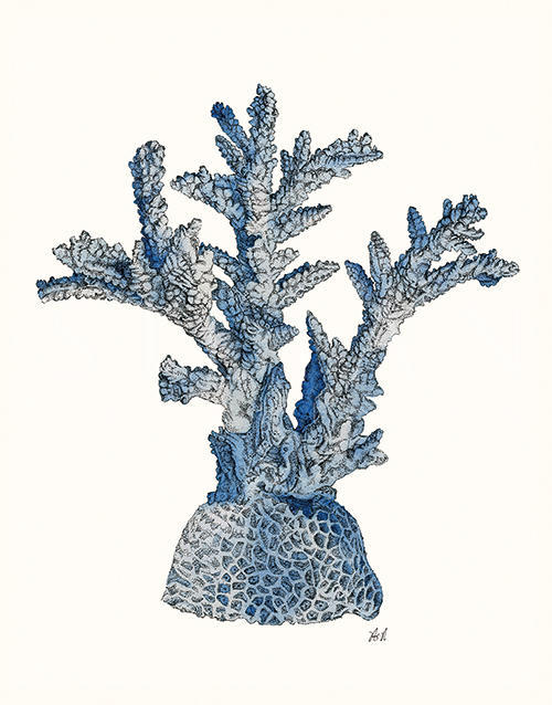 Coral Gesture Ⅰ