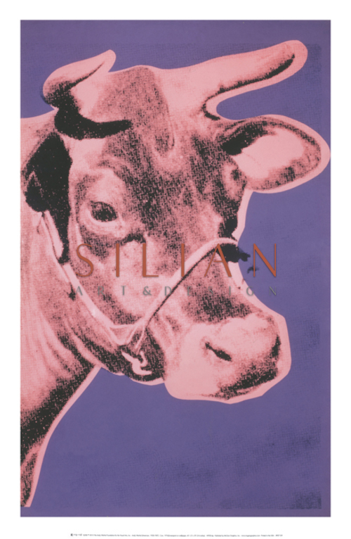 牛，1976年（粉红色和紫色）