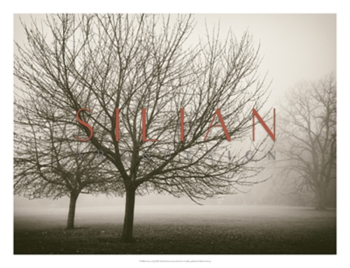 雾中的树木 VIII