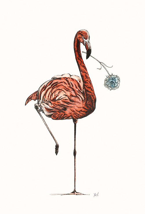 Flamingo Ⅳ