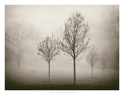 雾中的树木 VII