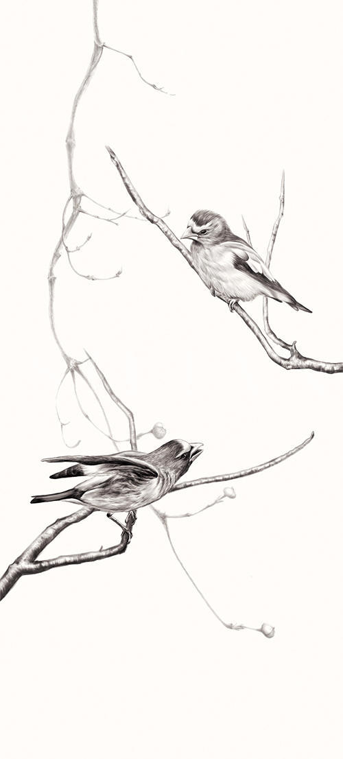 Birds On Branch Ⅲ