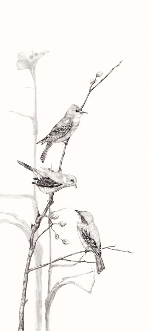 Birds On Branch Ⅳ