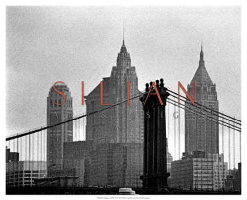 纽约市的桥梁 VI