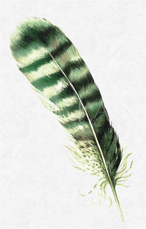 Festive Feather