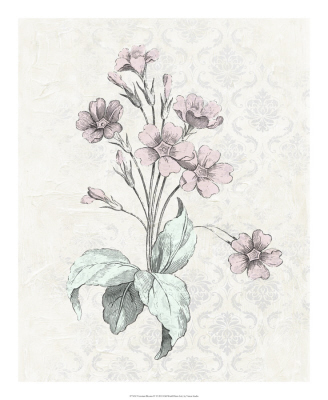 维多利亚时代的花朵 IV
