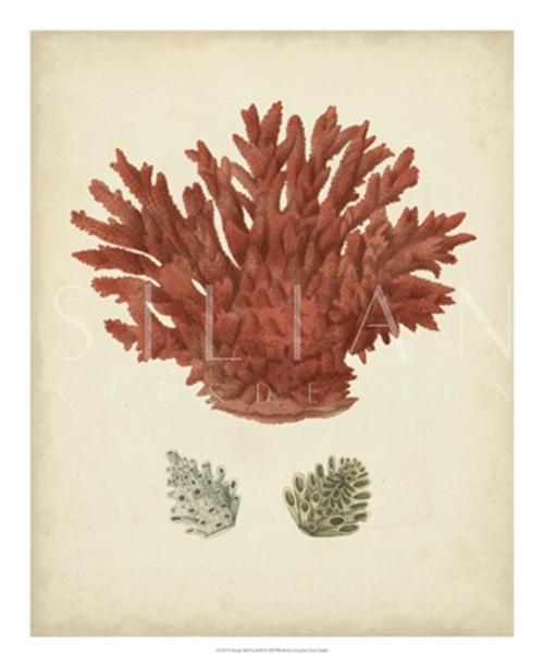 Antique Red Coral III