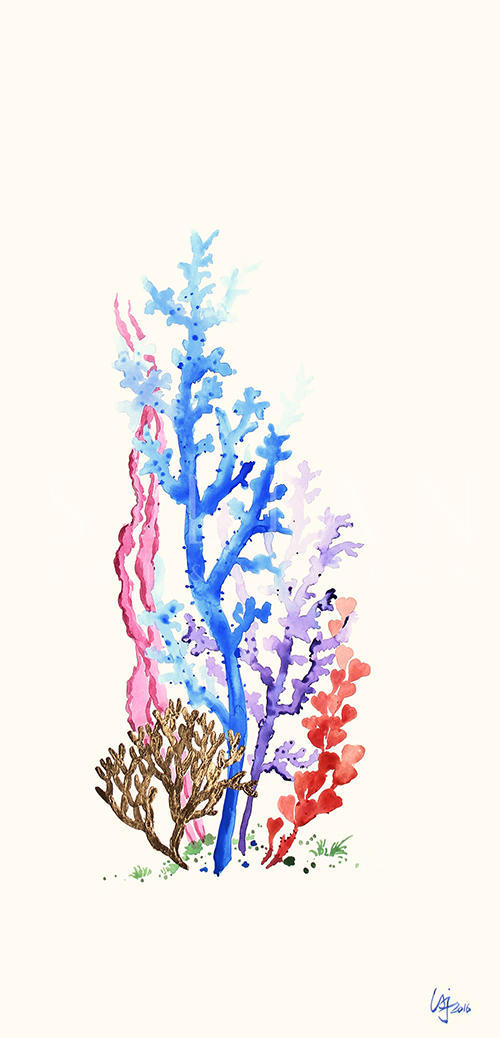 Colored Coral III