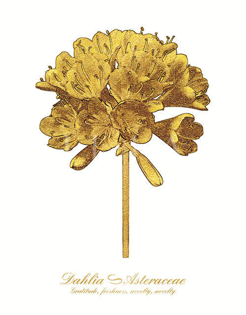 Golden Flower IV