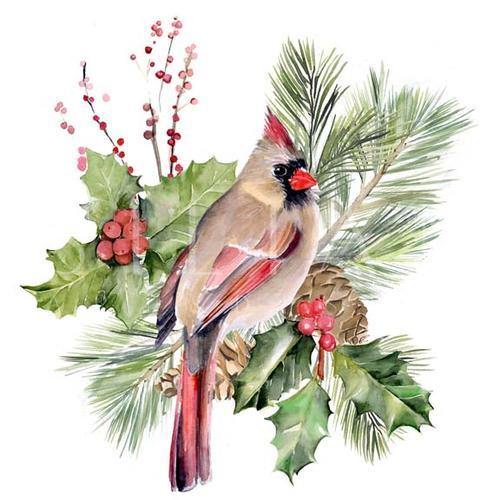 Cardinal Holly Christmas  II